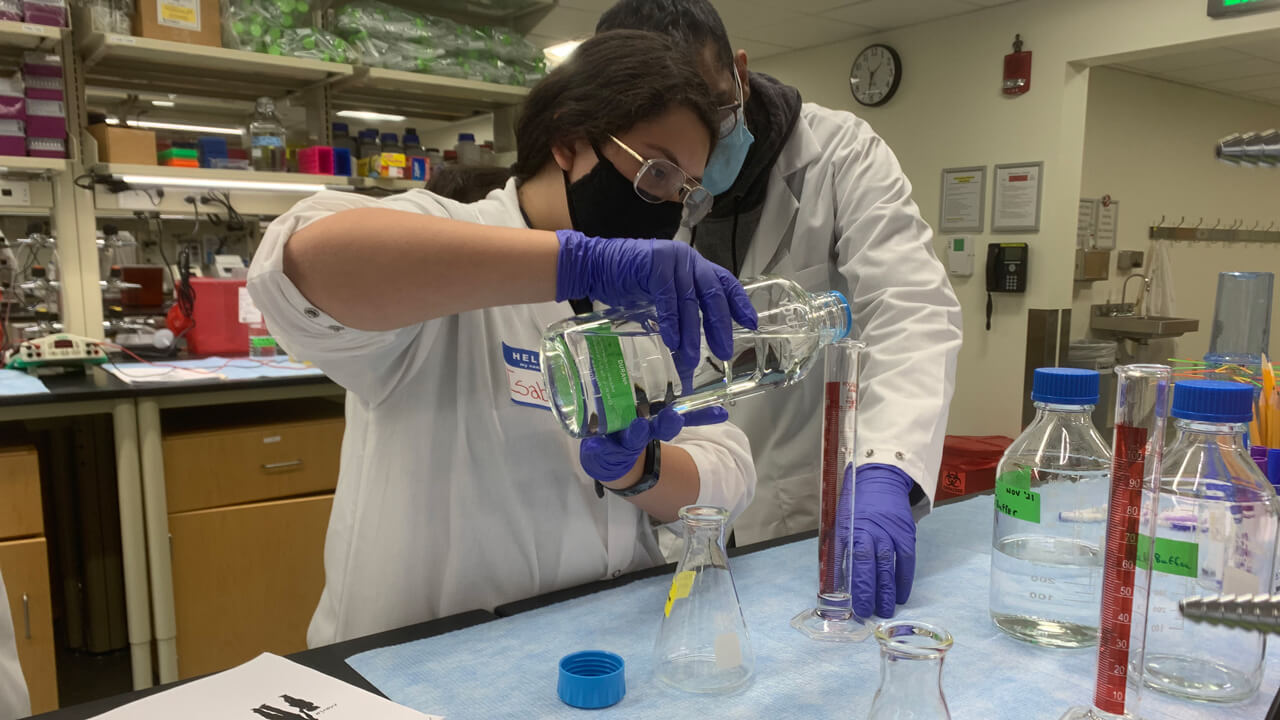 Student and supervisor conduct a science experiment in a lab.