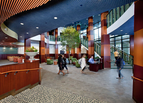 A handful of students study or walk through the lobby of the Center for Medicine, Nursing and Health Sciences